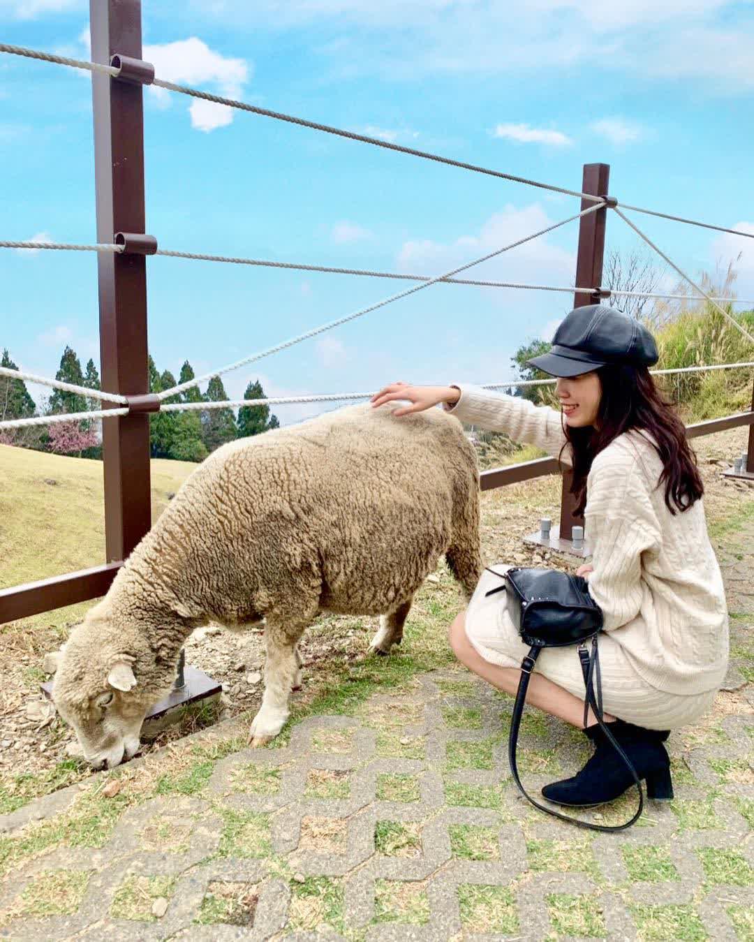 清境農場青青草原 | 去趣 chicTrip