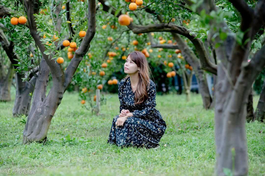 橙香森林 | 去趣 chicTrip
