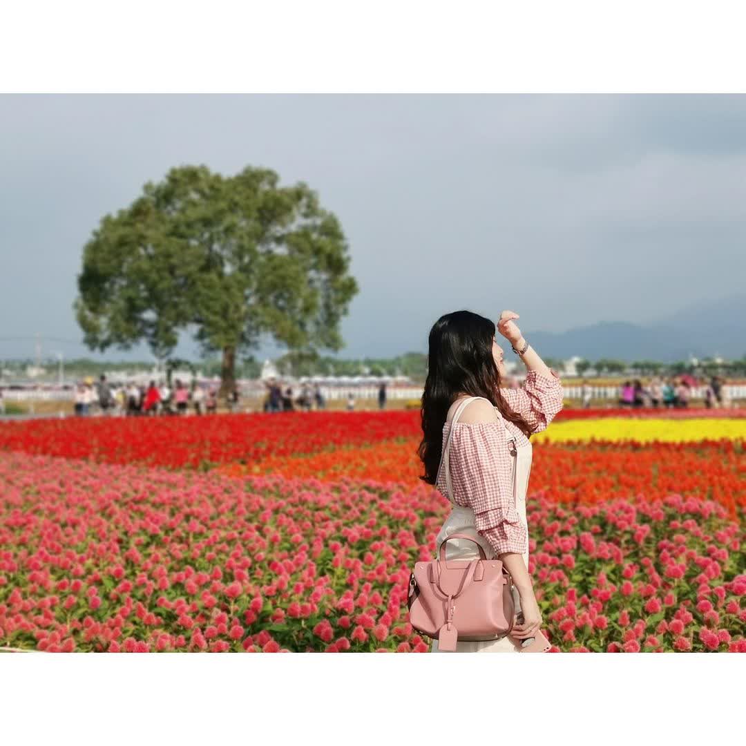 台中新社花海 | 去趣 chicTrip