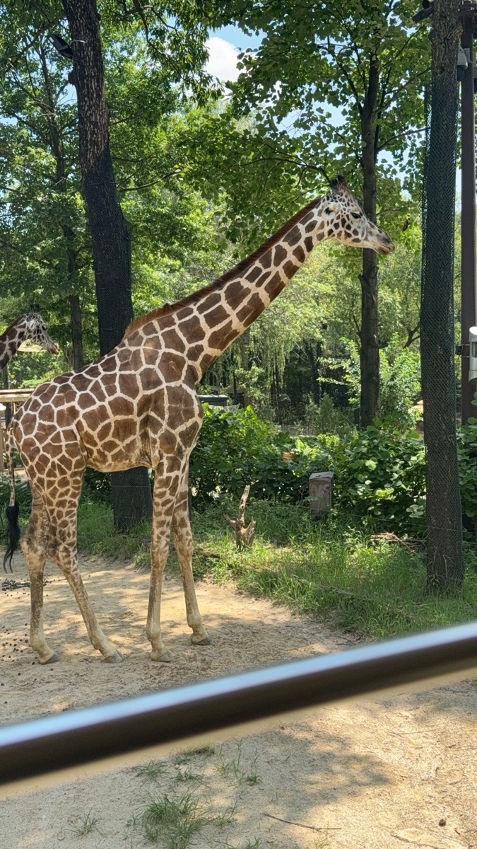 愛寶樂園 | 去趣 chicTrip