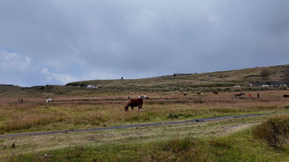 草千里（草千里之濱） | 去趣 chicTrip