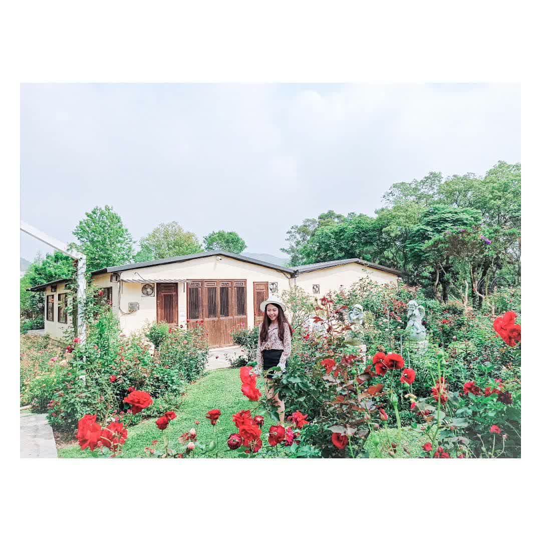 雅聞七里香玫瑰森林 | 去趣 chicTrip