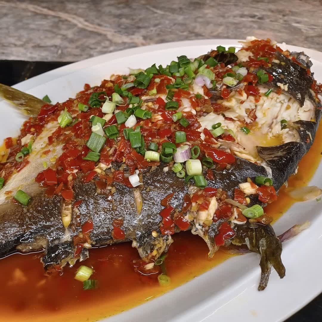 香港沙田凱悅酒店 | 去趣 chicTrip