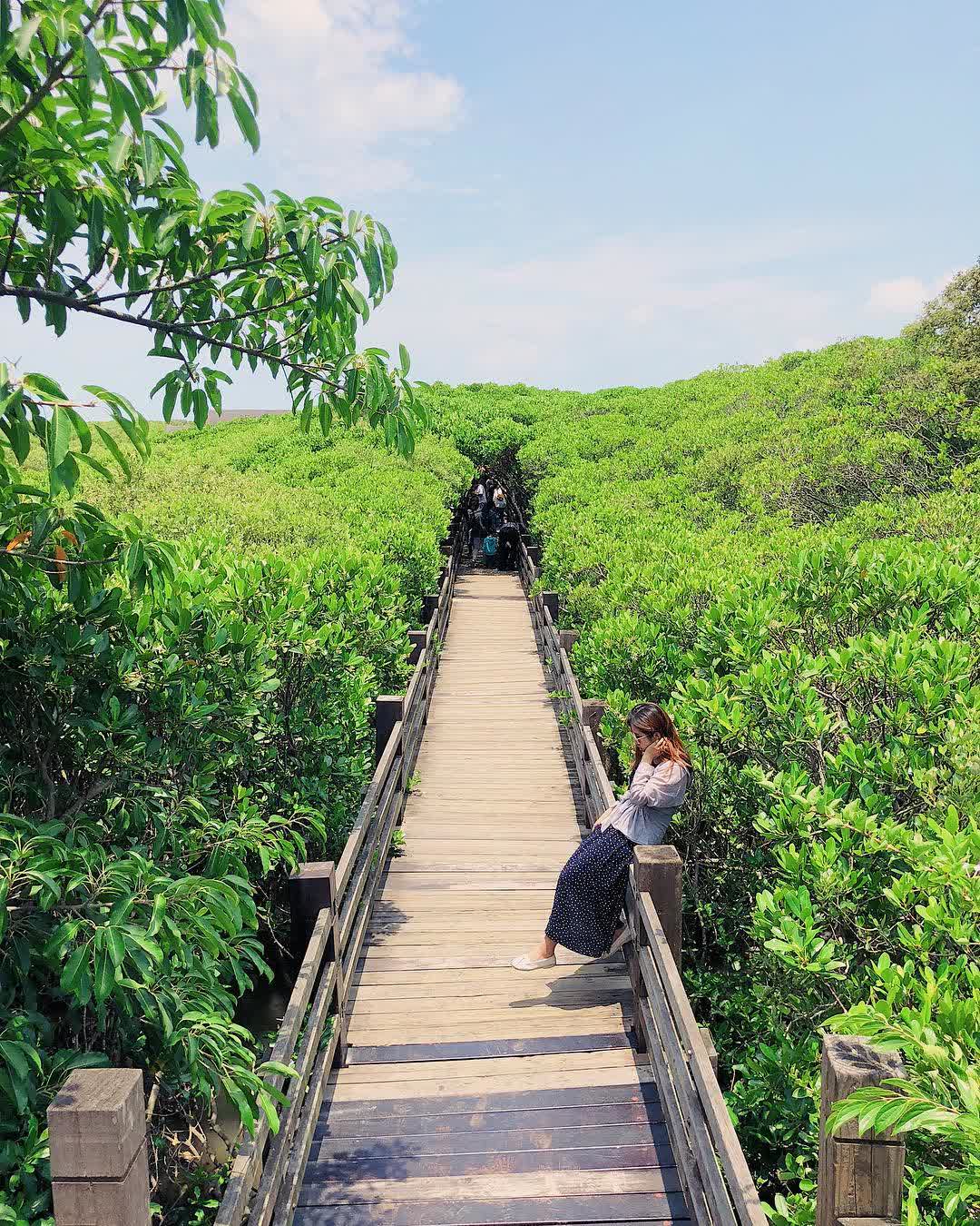 新豐紅樹林生態保護區 | 去趣 chicTrip