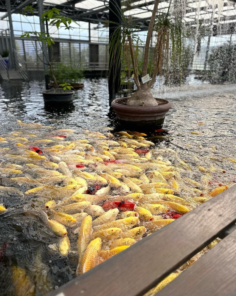 金車礁溪蘭花園附設動植物生態館 | 去趣 chicTrip