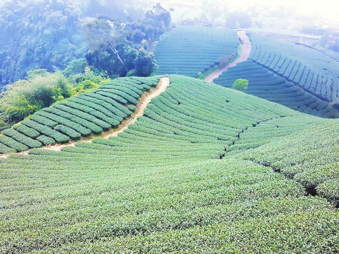 一三一四觀景台 | 去趣 chicTrip