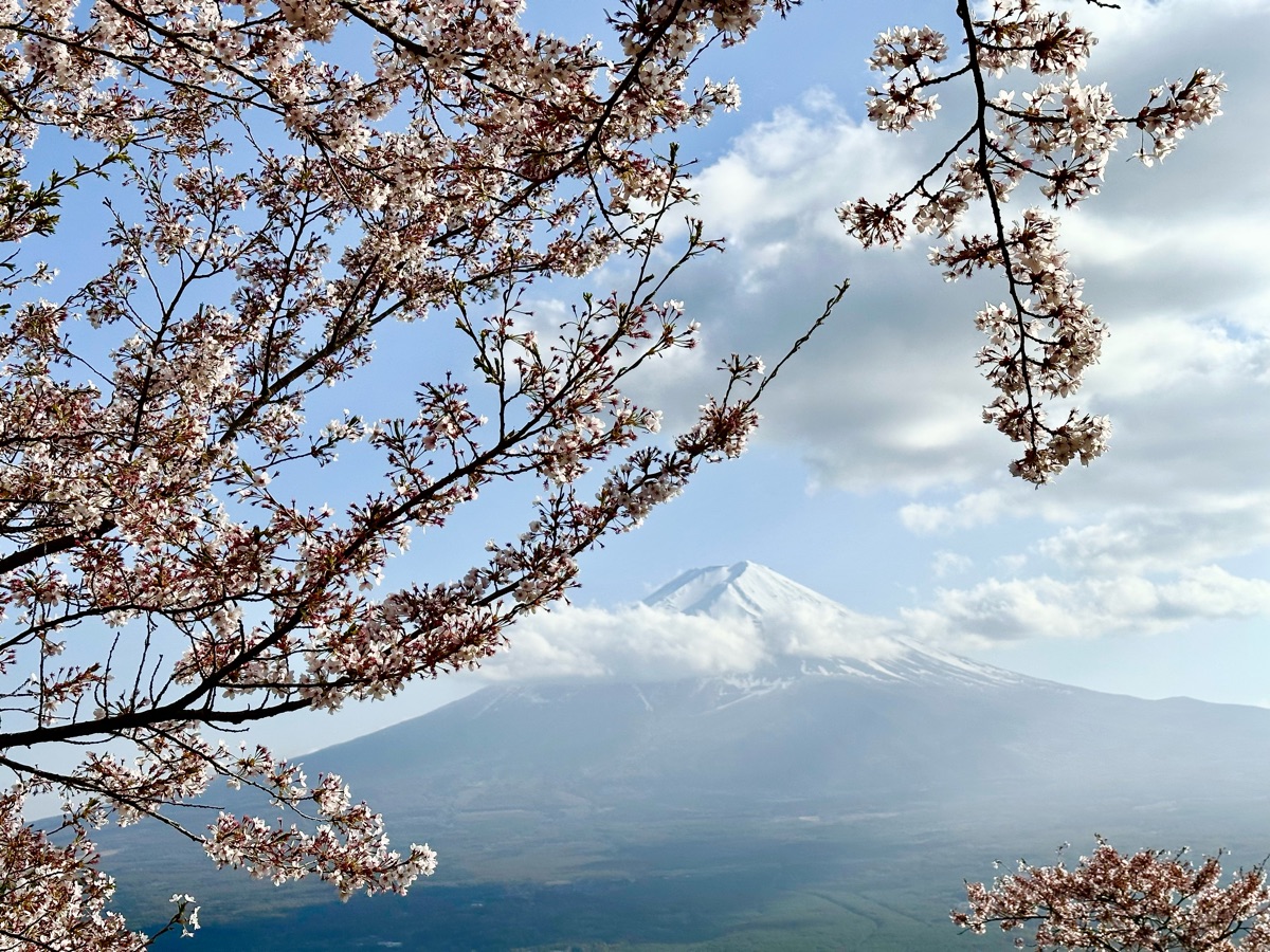 河口湖天上山公園 | 去趣 chicTrip