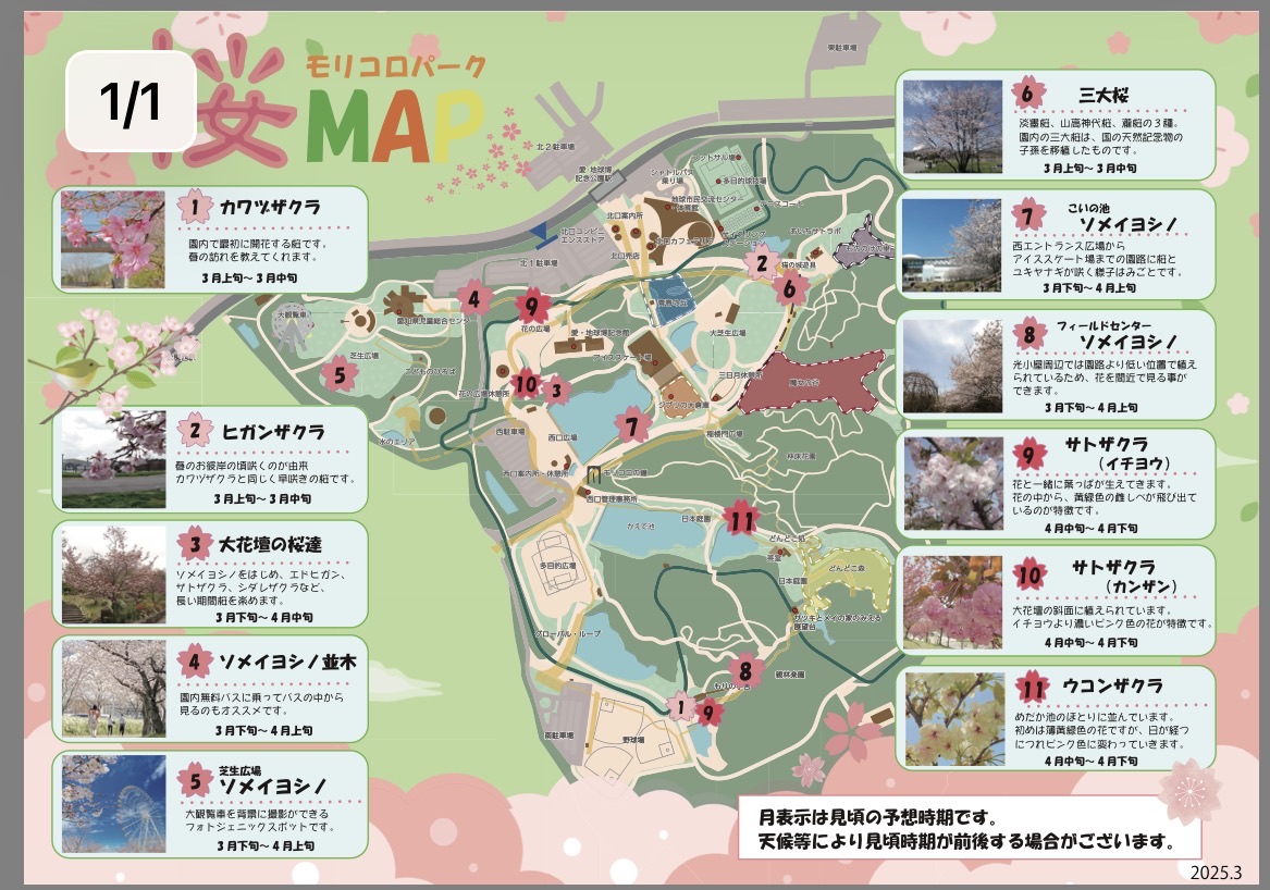 吉卜力公園 | 去趣 chicTrip