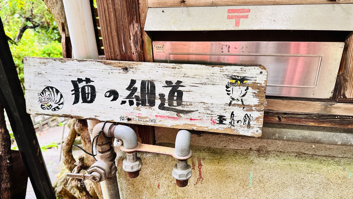 貓之細道 | 去趣 chicTrip