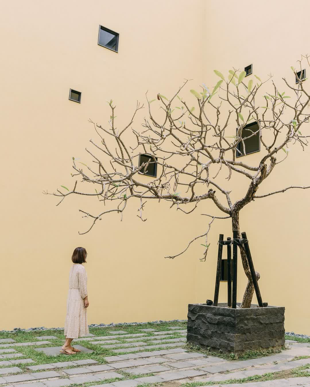 國立臺灣史前文化博物館南科考古館 | 去趣 chicTrip