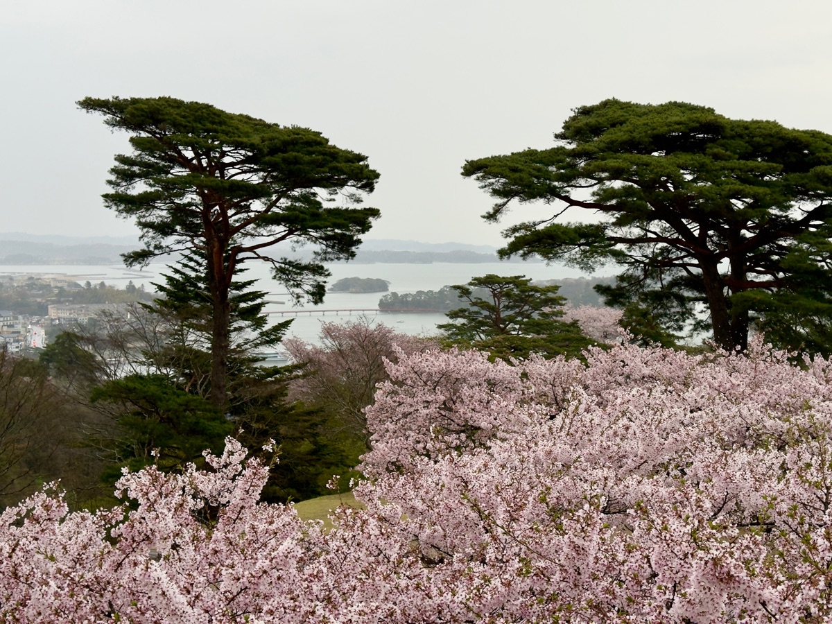 Saigyo Modoshi no Matsu Park | 去趣 chicTrip