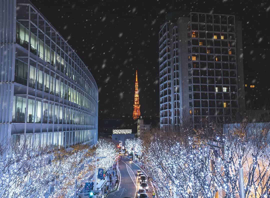 六本木新城 | 去趣 chicTrip