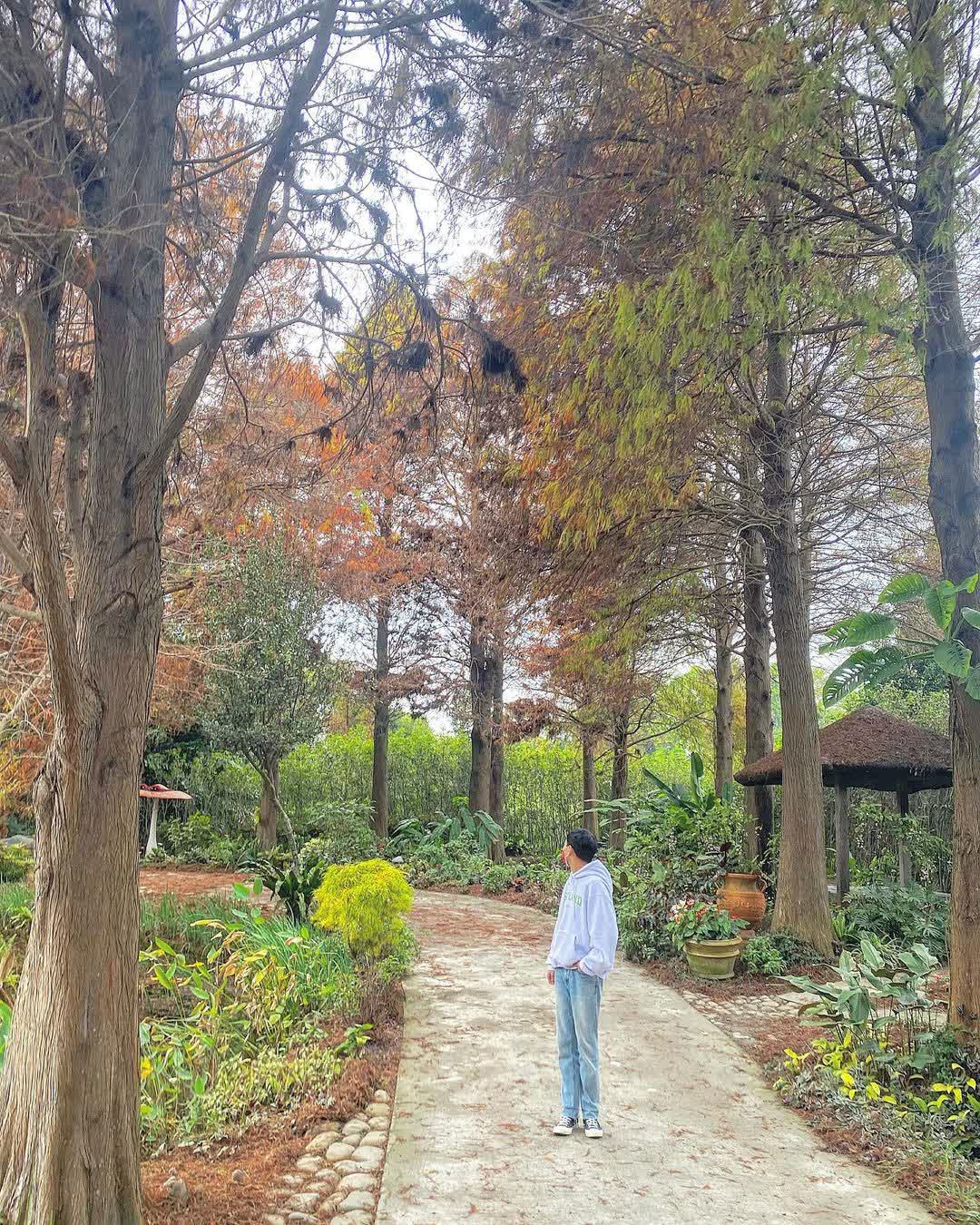 菁芳園 落羽松景觀餐廳 | 去趣 chicTrip
