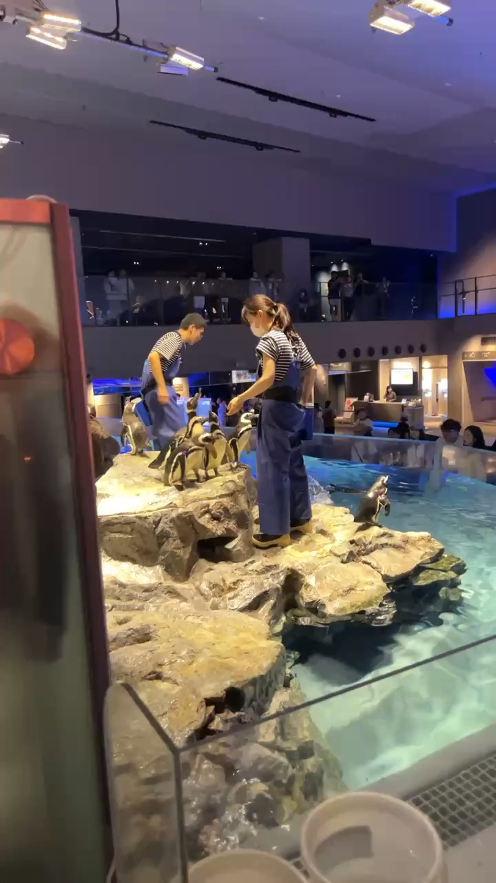 墨田水族館 | 去趣 chicTrip