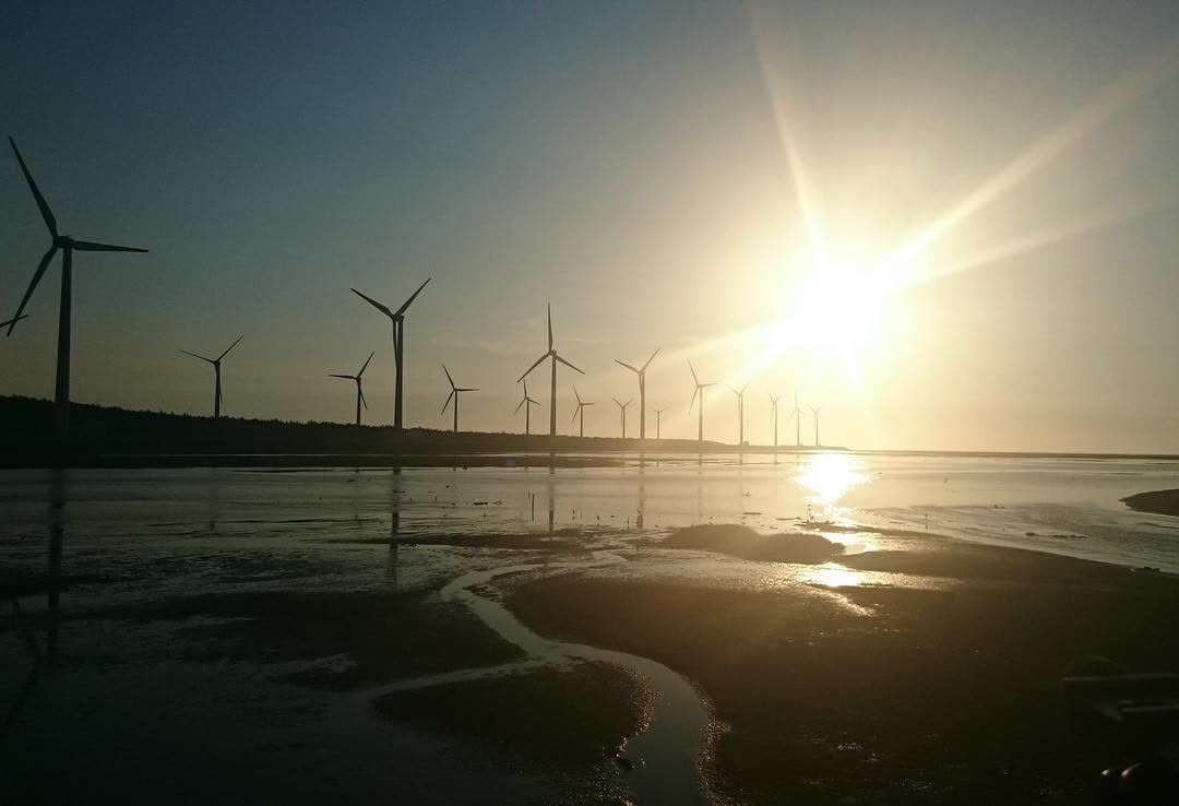 高美濕地 | 去趣 chicTrip