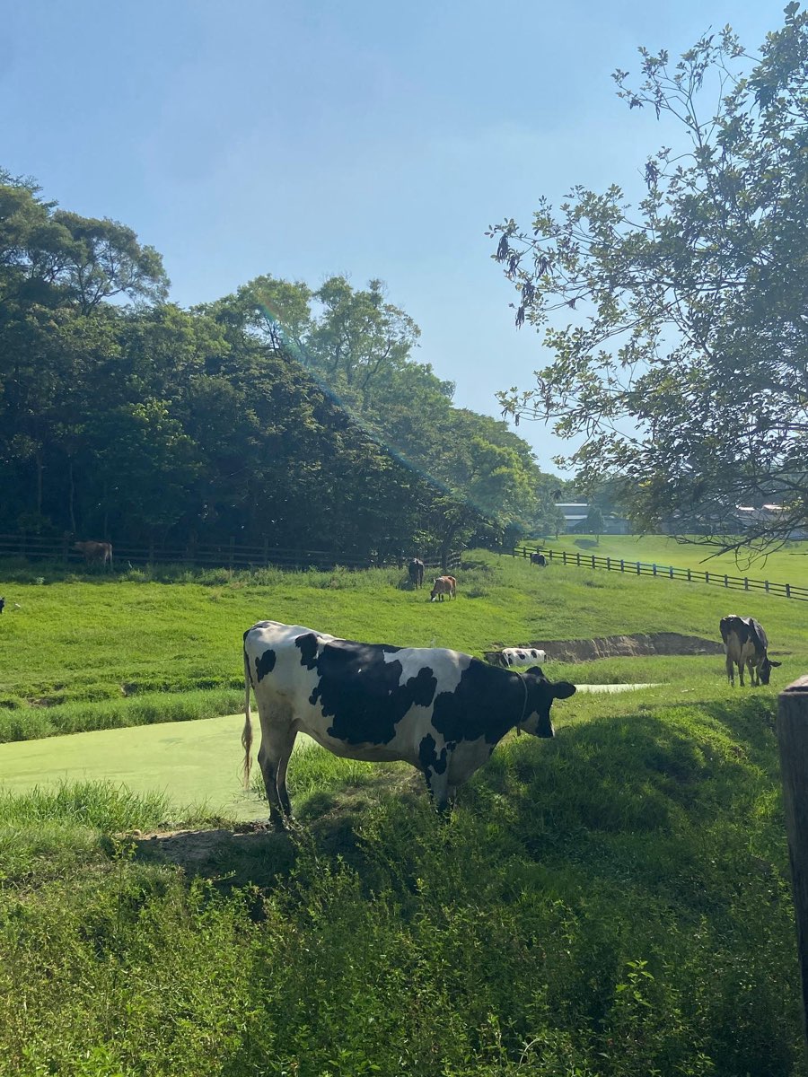 飛牛牧場 | 去趣 chicTrip