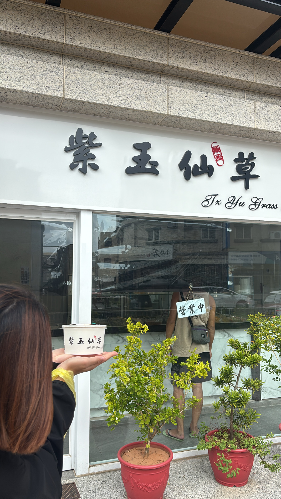 紫玉仙草 | 去趣 chicTrip