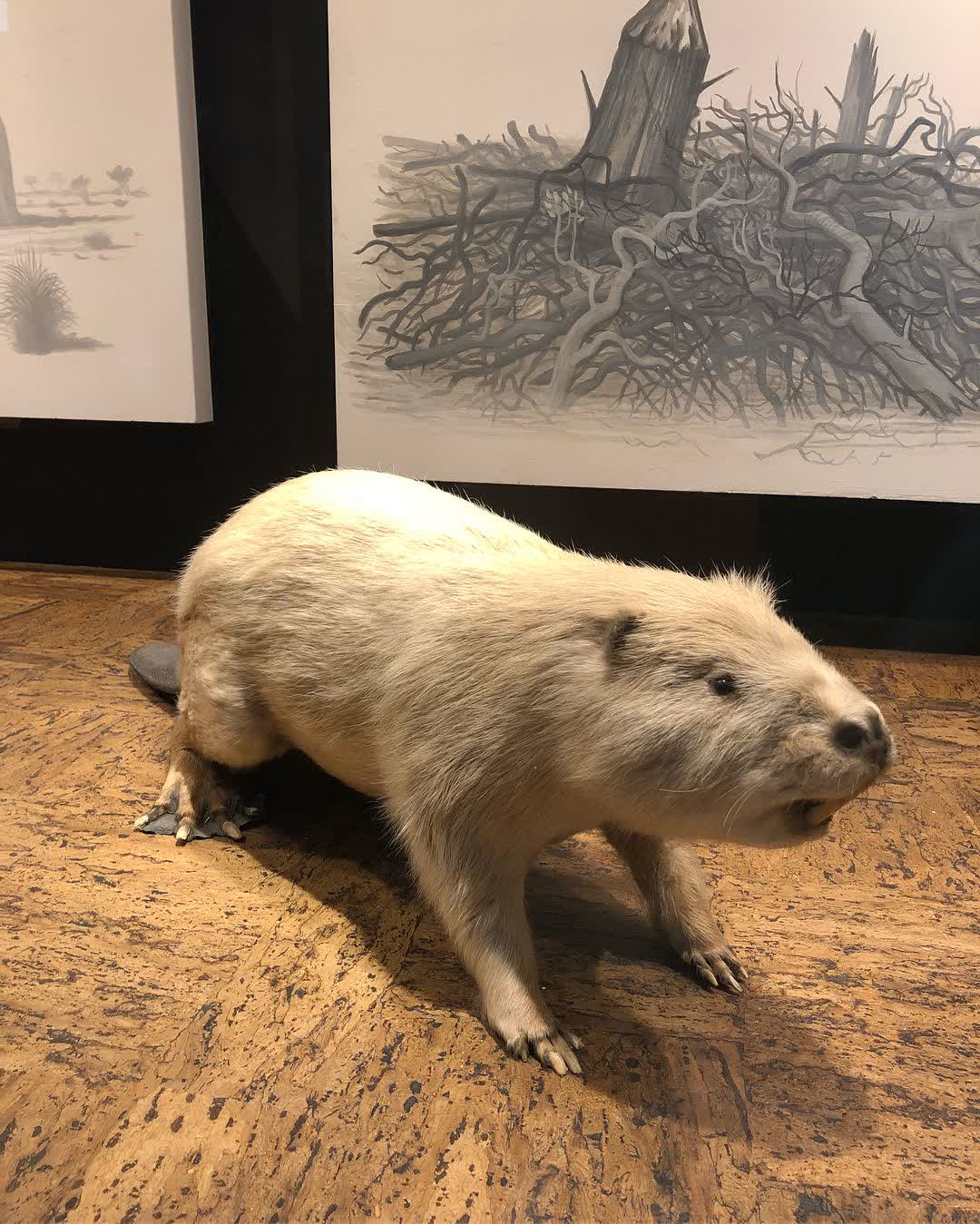 國立自然科學博物館 | 去趣 chicTrip