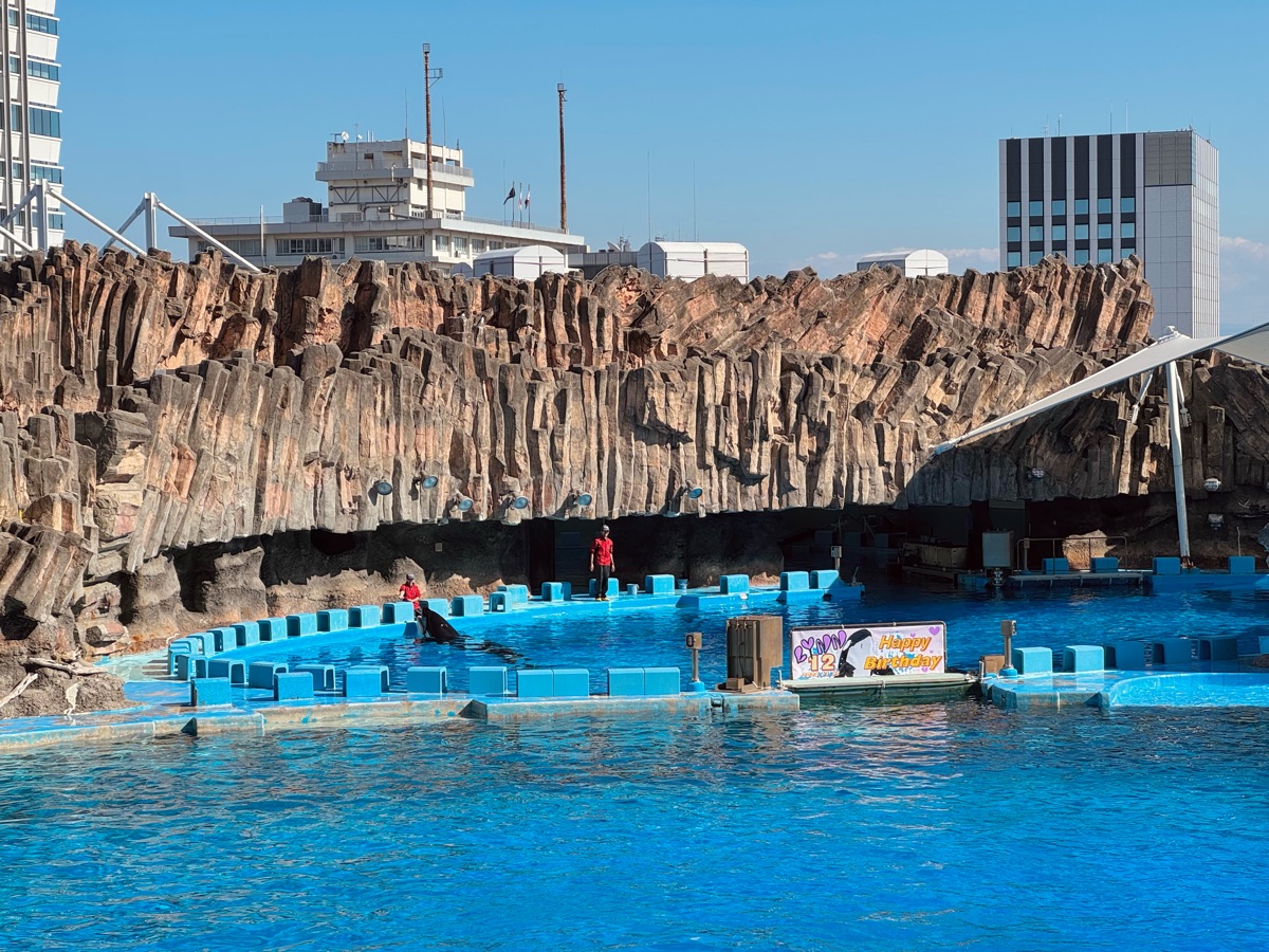 名古屋港水族館 | 去趣 chicTrip