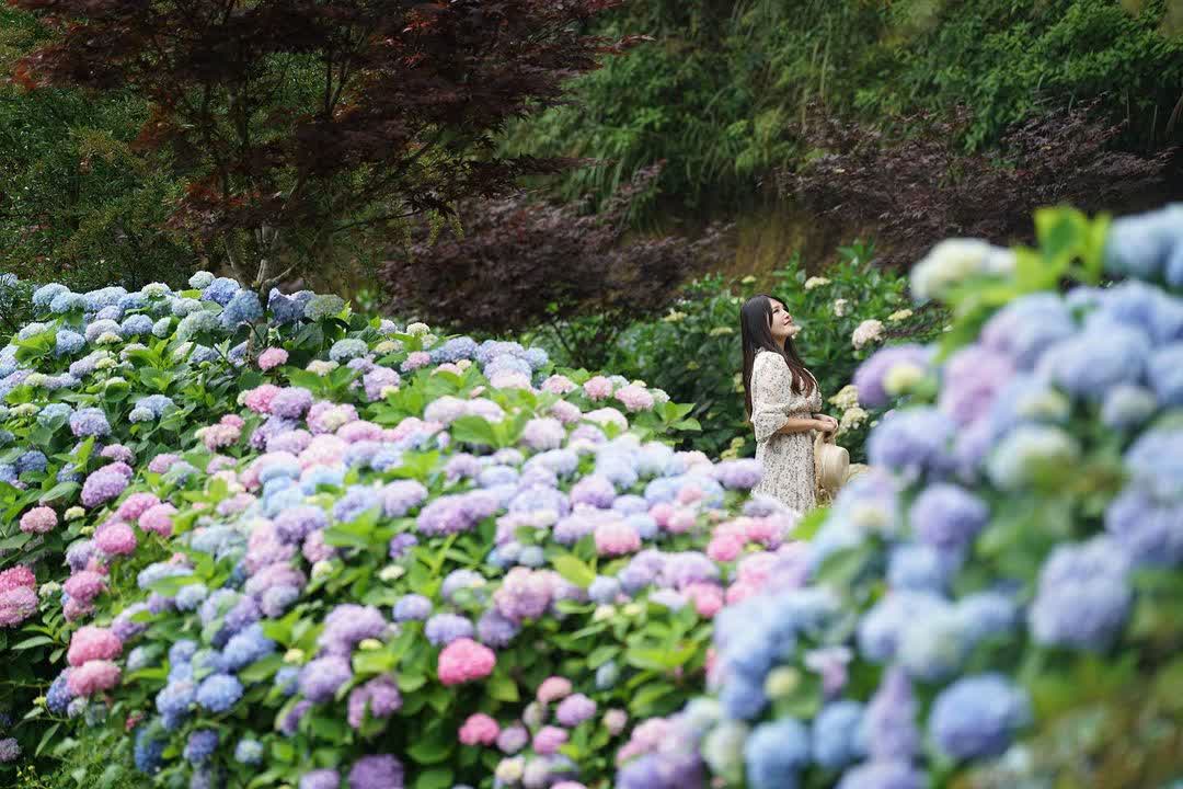 杉林溪森林生態渡假園區 | 去趣 chicTrip