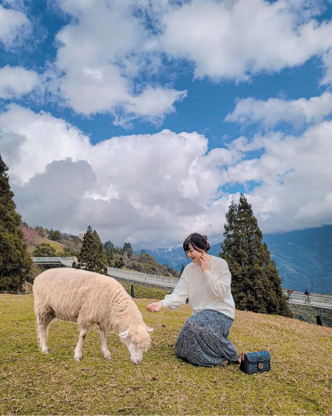 清境農場青青草原 | 去趣 chicTrip