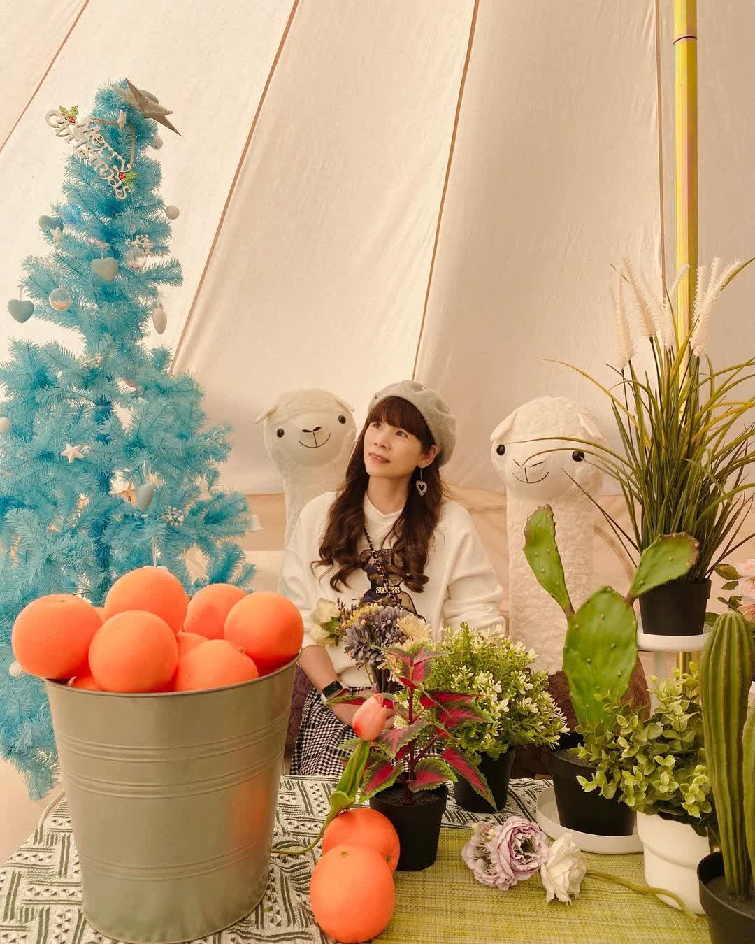 橙香森林 | 去趣 chicTrip