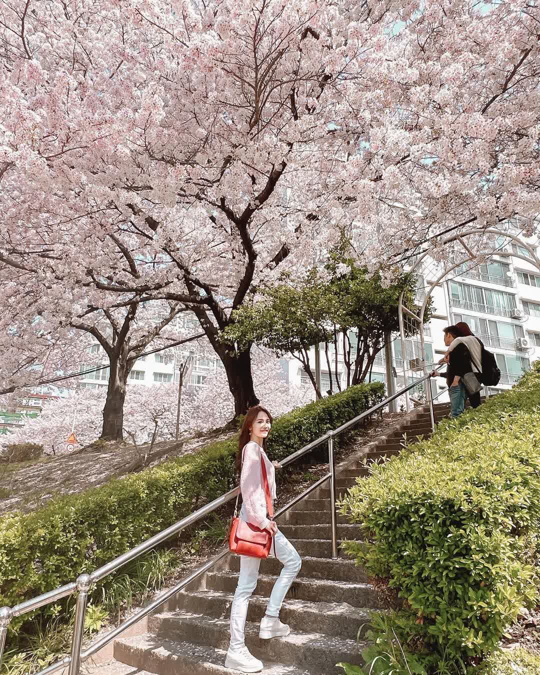 Oncheon-cheon | 去趣 chicTrip