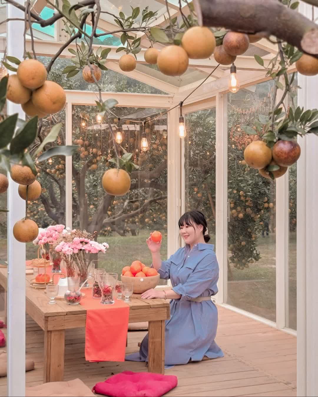 橙香森林 | 去趣 chicTrip