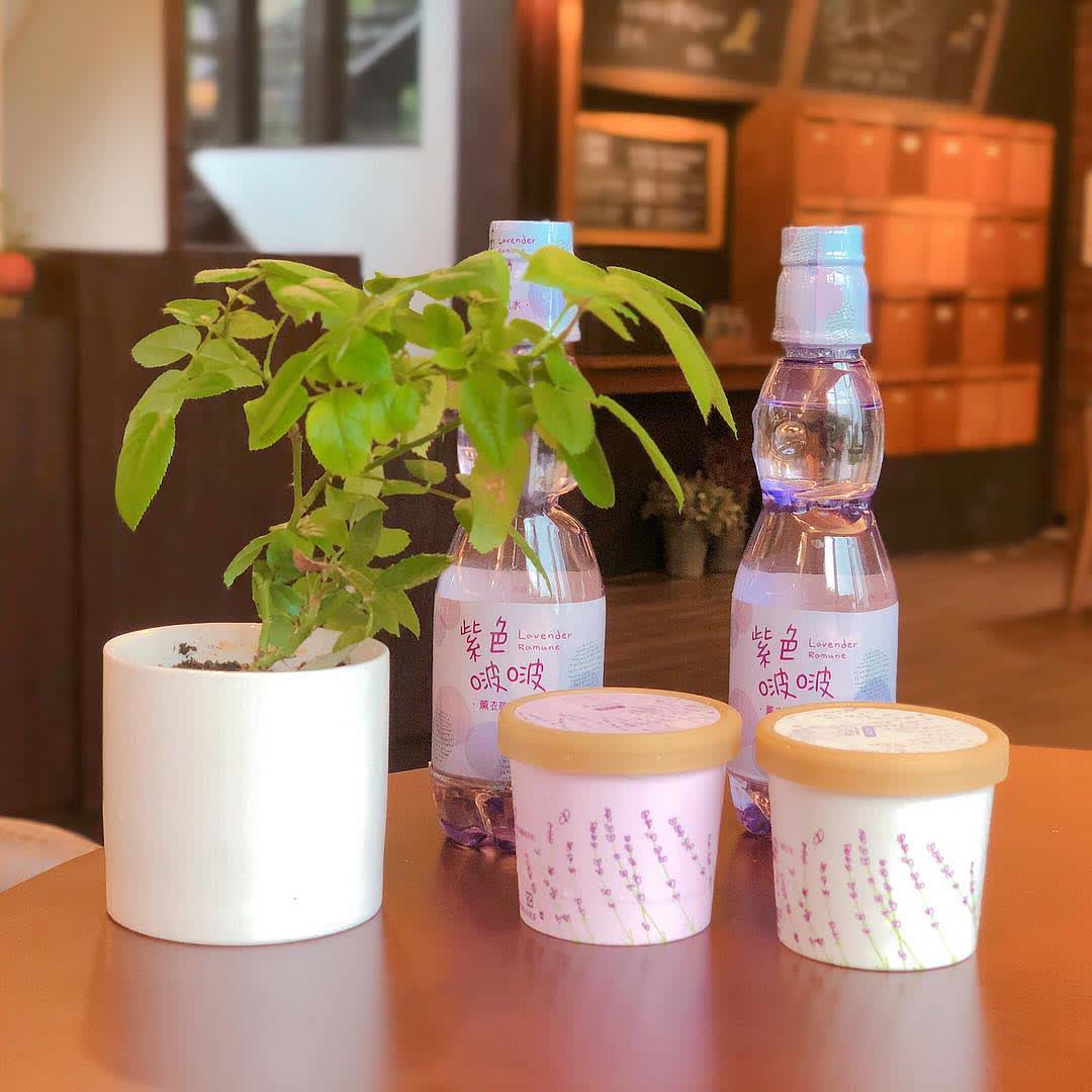 薰衣草森林新竹尖石店 | 去趣 chicTrip