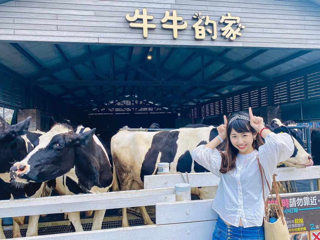 千巧谷牛樂園牧場 | 去趣 chicTrip