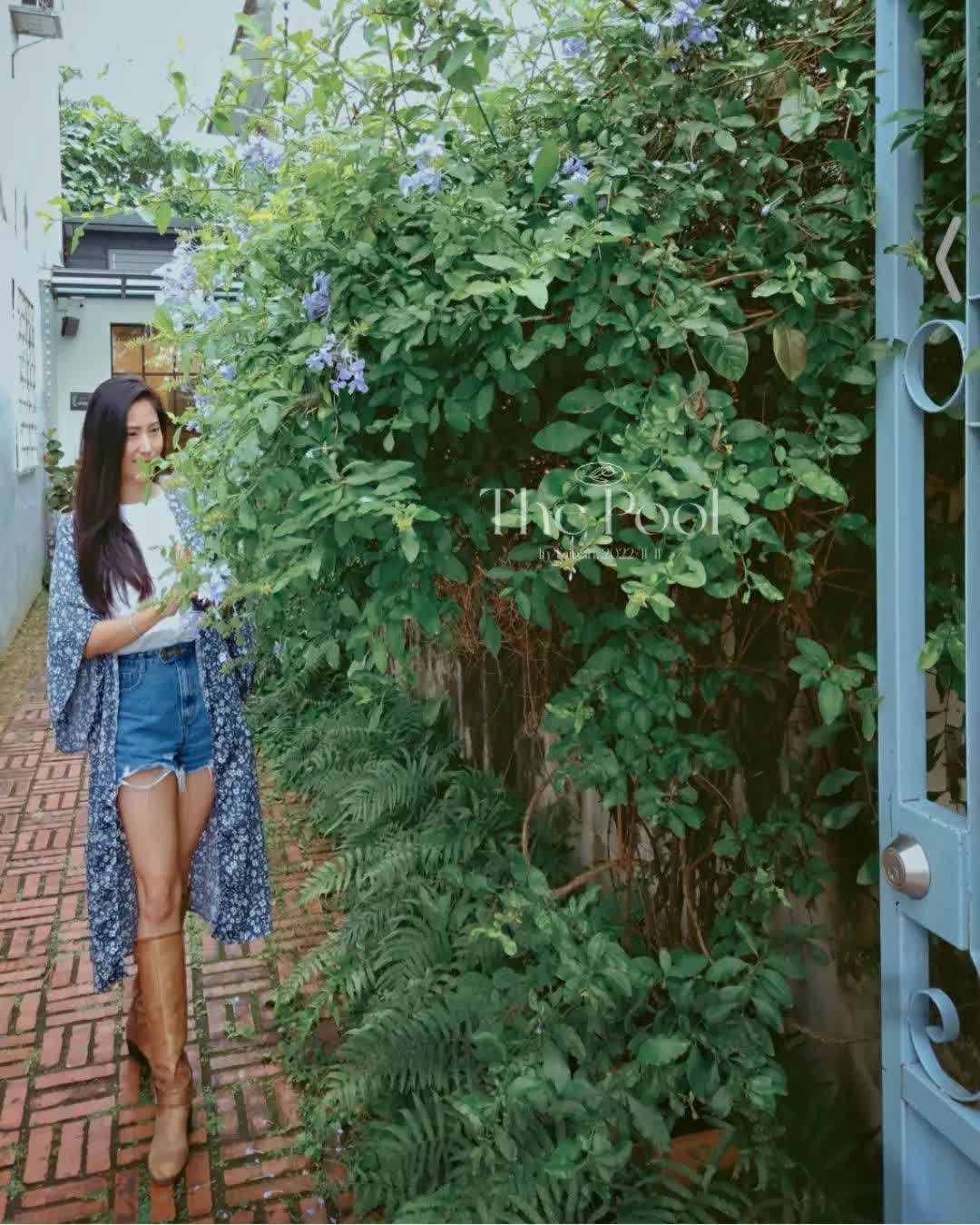 小巷茉莉 | 去趣 chicTrip