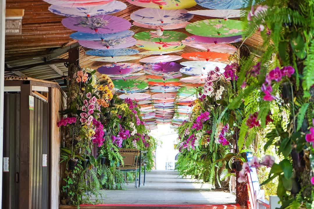 台一生態休閒農場(楓樺台一渡假村) | 去趣 chicTrip