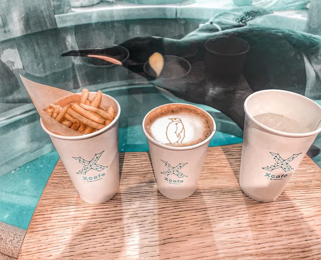 Xpark 水族館 | 去趣 chicTrip