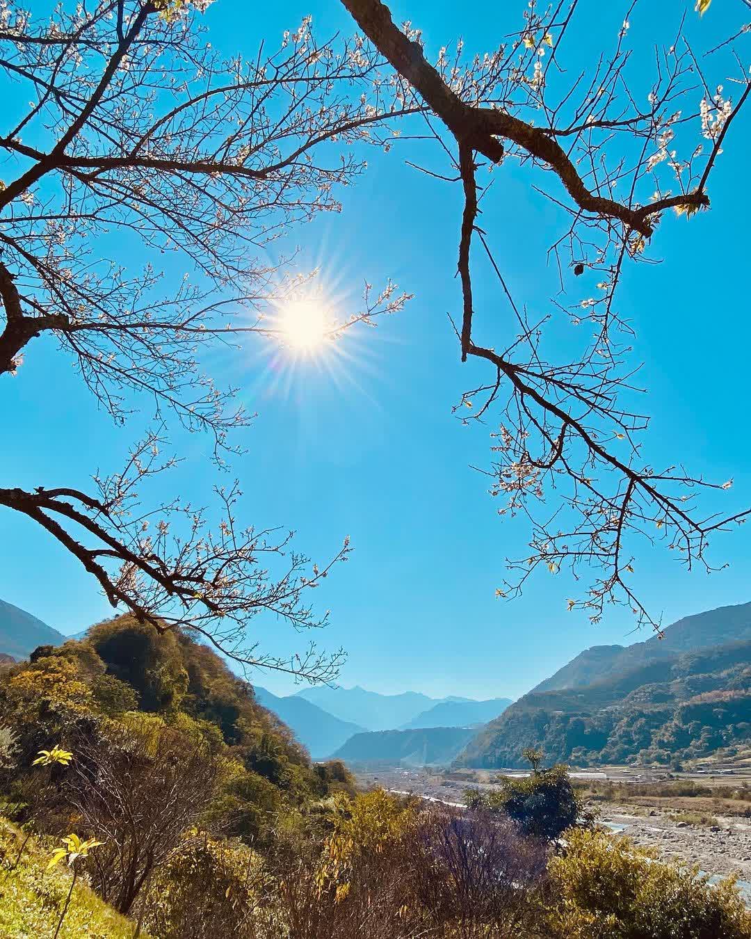 信義鄉農會梅子夢工廠(酒莊) | 去趣 chicTrip