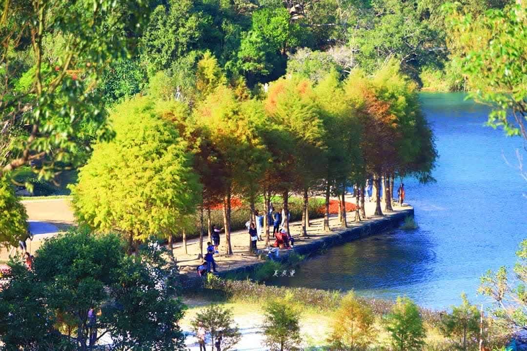 向山行政暨遊客中心 | 去趣 chicTrip