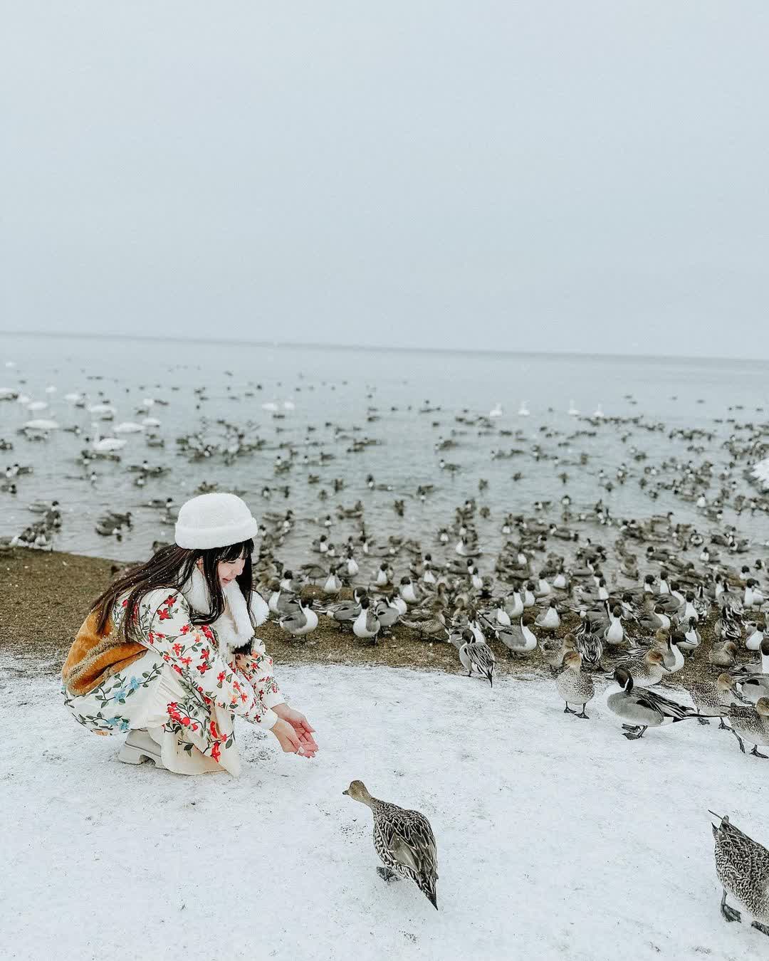 豬苗代湖 | 去趣 chicTrip