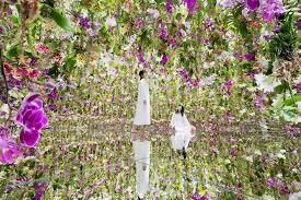teamLab Planets TOKYO DMM | 去趣 chicTrip