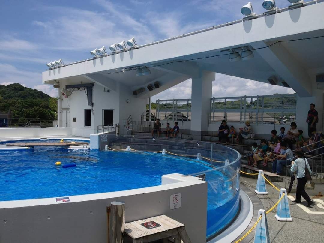 水母 九十九島水族館 海洋kirara | 去趣 chicTrip