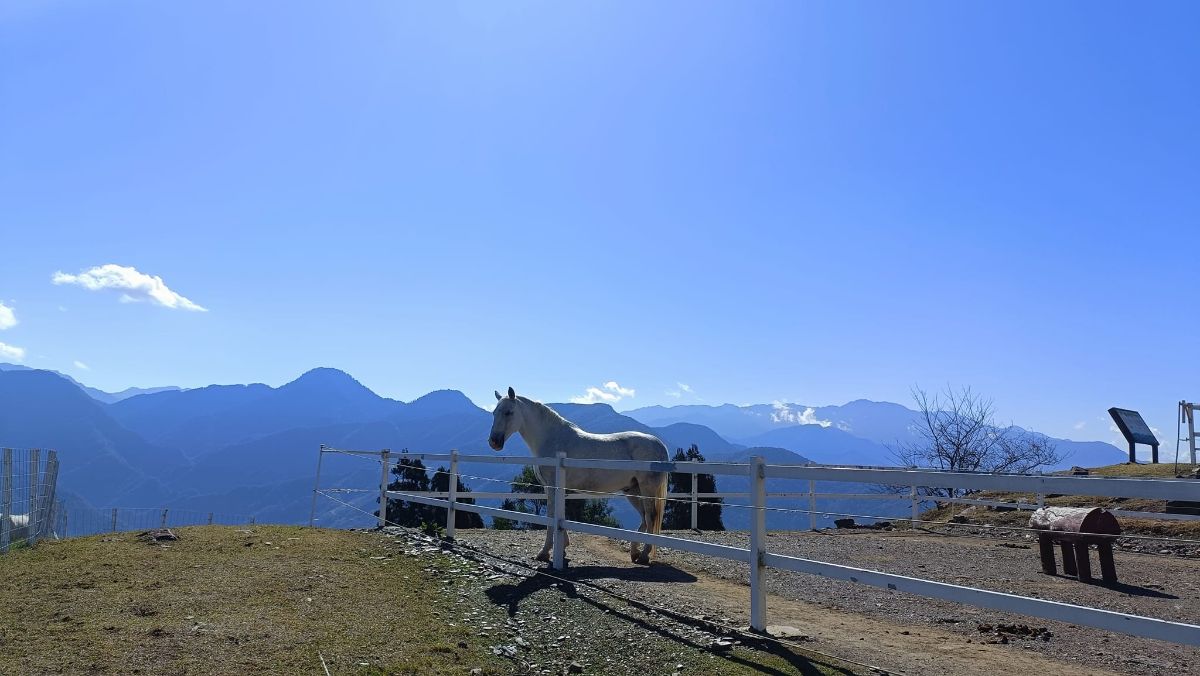 清境農場觀山牧區 | 去趣 chicTrip