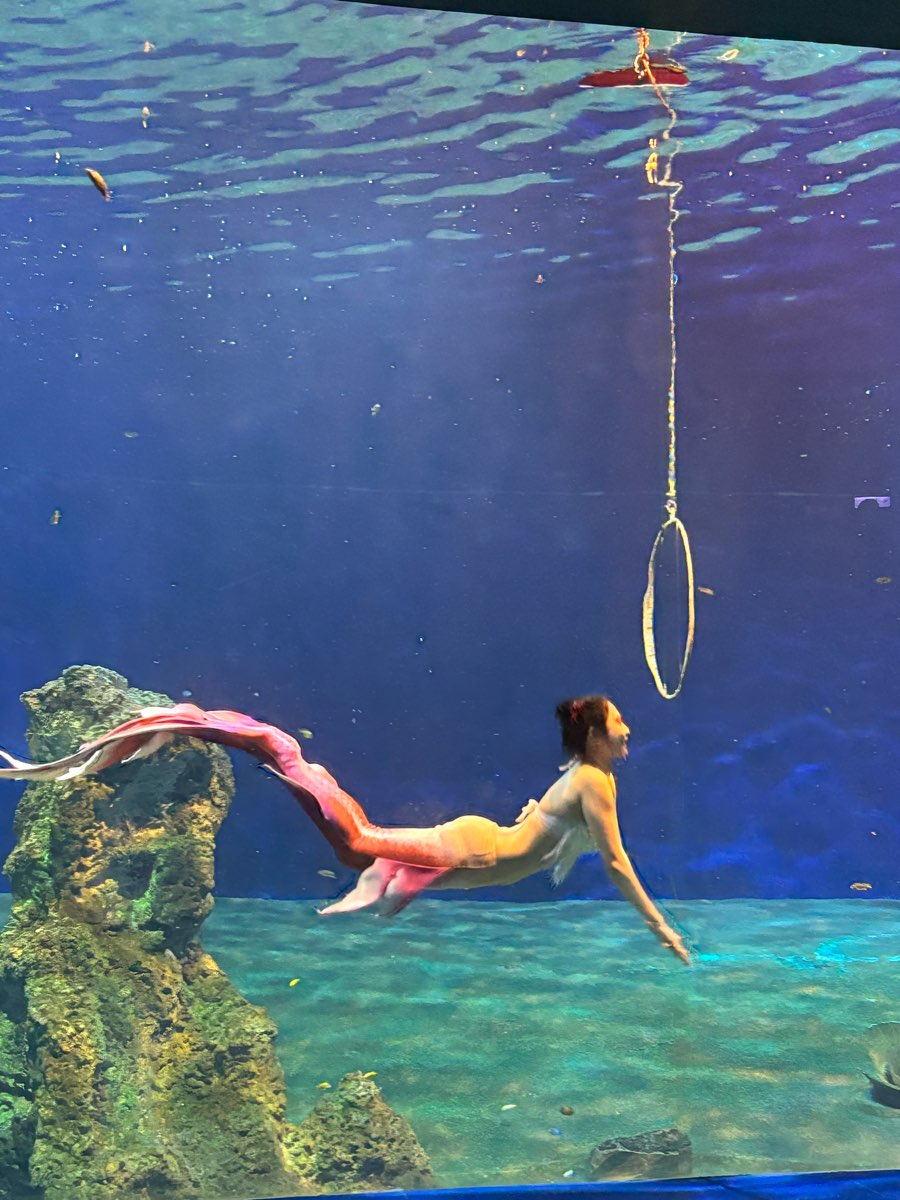 遠雄海洋公園 | 去趣 chicTrip