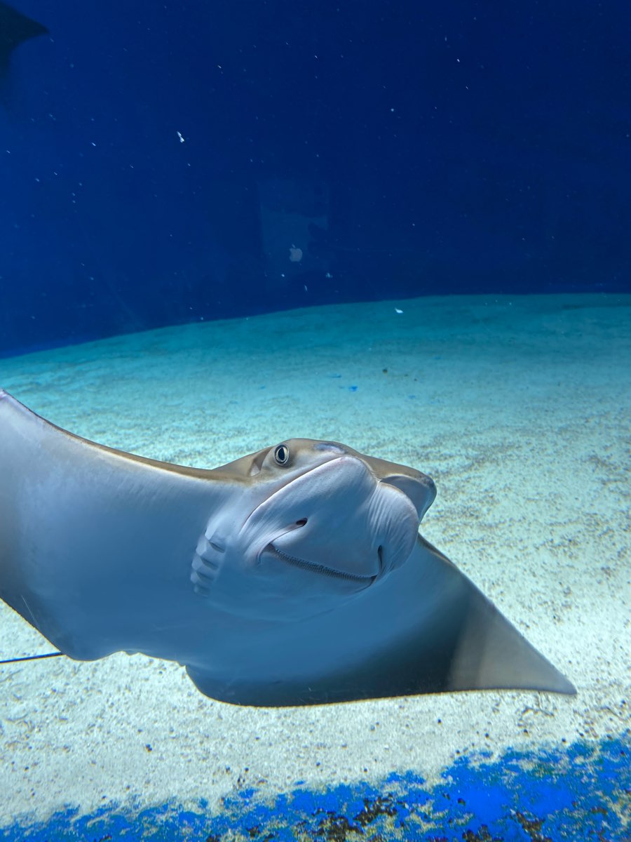 Xpark 水族館 | 去趣 chicTrip