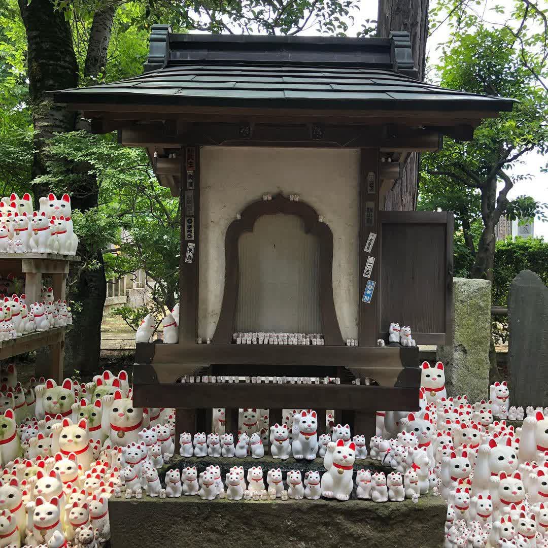 世田谷 豪德寺 | 去趣 chicTrip