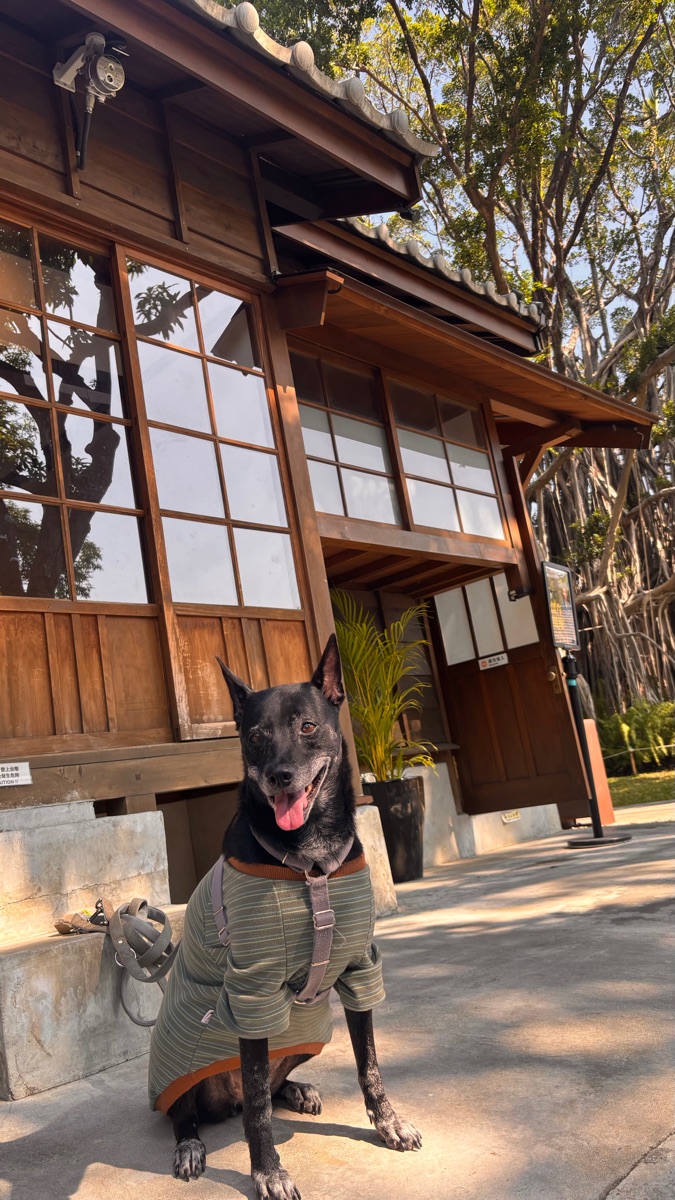 國家漫畫博物館 | 去趣 chicTrip