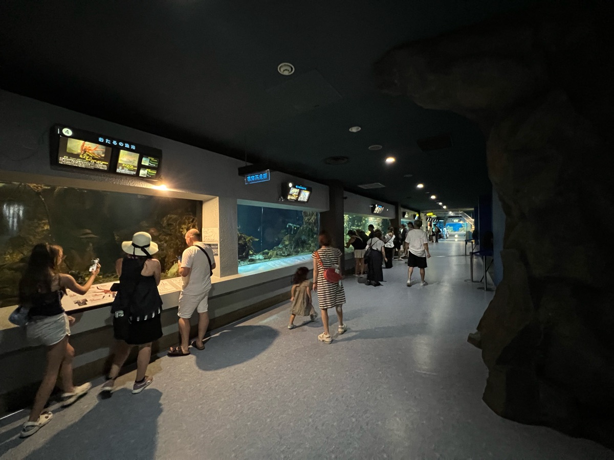 小樽水族館 | 去趣 chicTrip