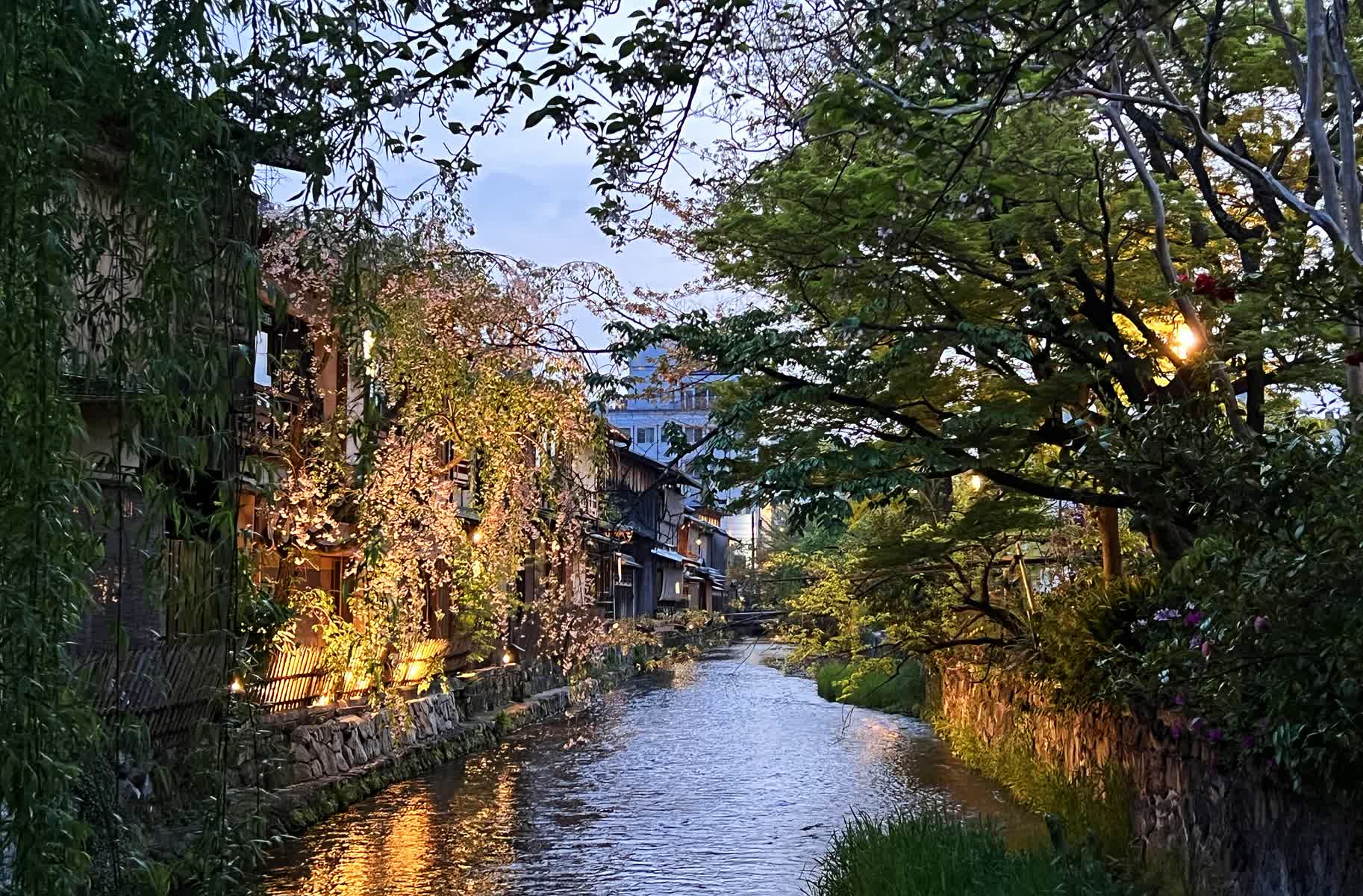 祇園白川 | 去趣 chicTrip