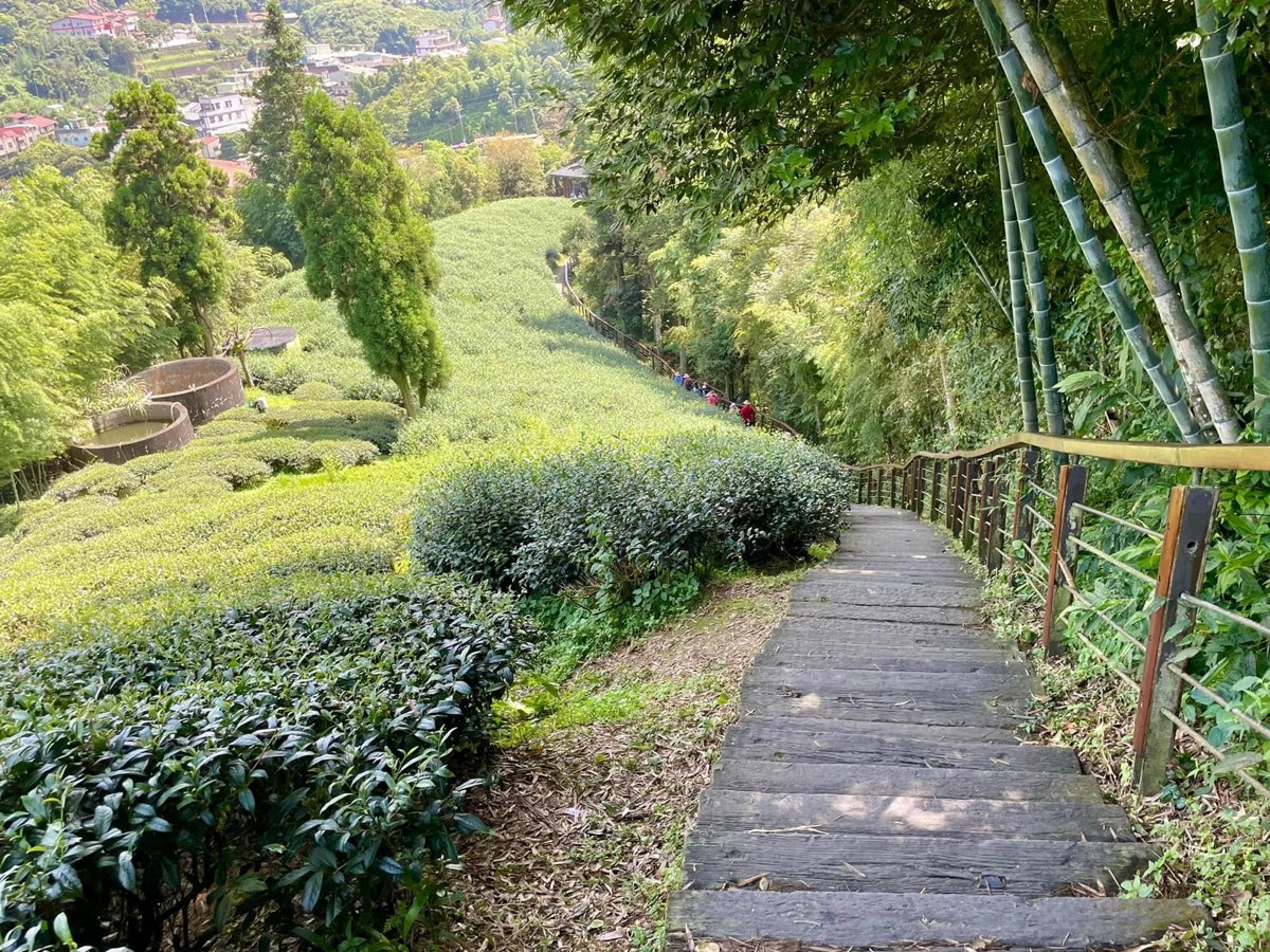 雲之南道步道 | 去趣 chicTrip