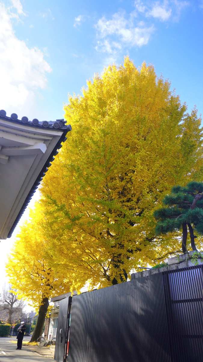 東本願寺 | 去趣 chicTrip