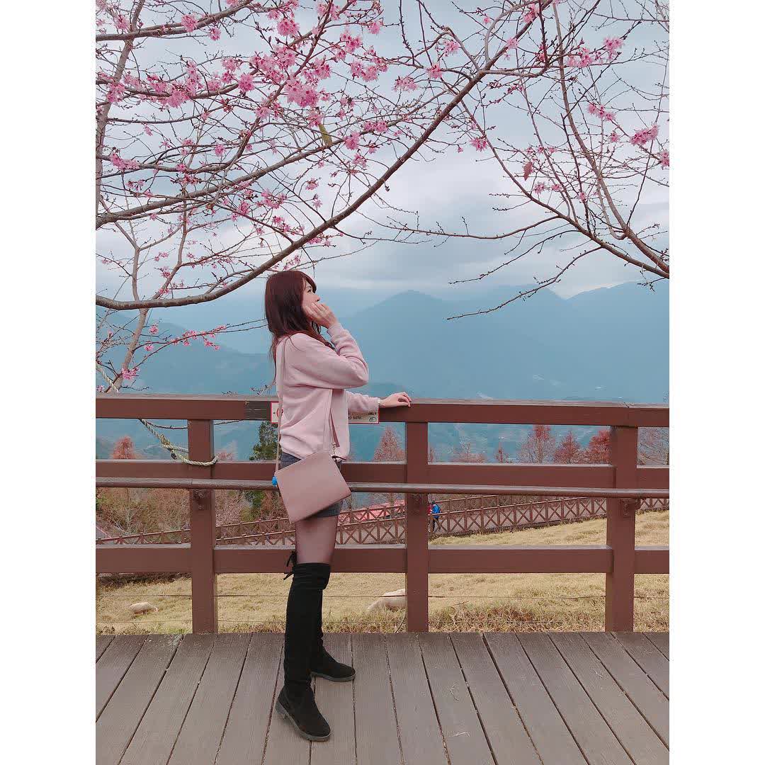 清境農場青青草原 | 去趣 chicTrip