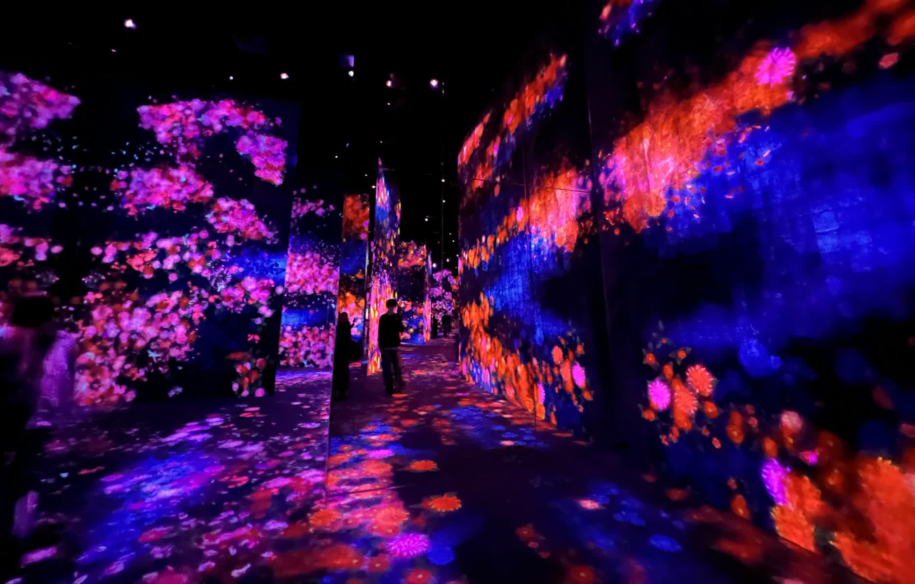 teamLab Borderless 數位藝術美術館 | 去趣 chicTrip