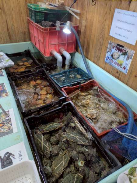 海鮮燒 海道丸 | 去趣 chicTrip